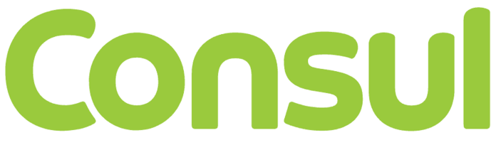 consul-696x557-1-e1701717755303